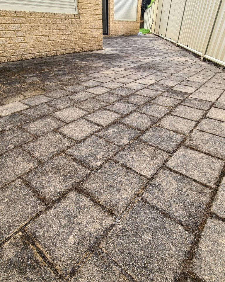 20210209 090904 scaled e1624814023190