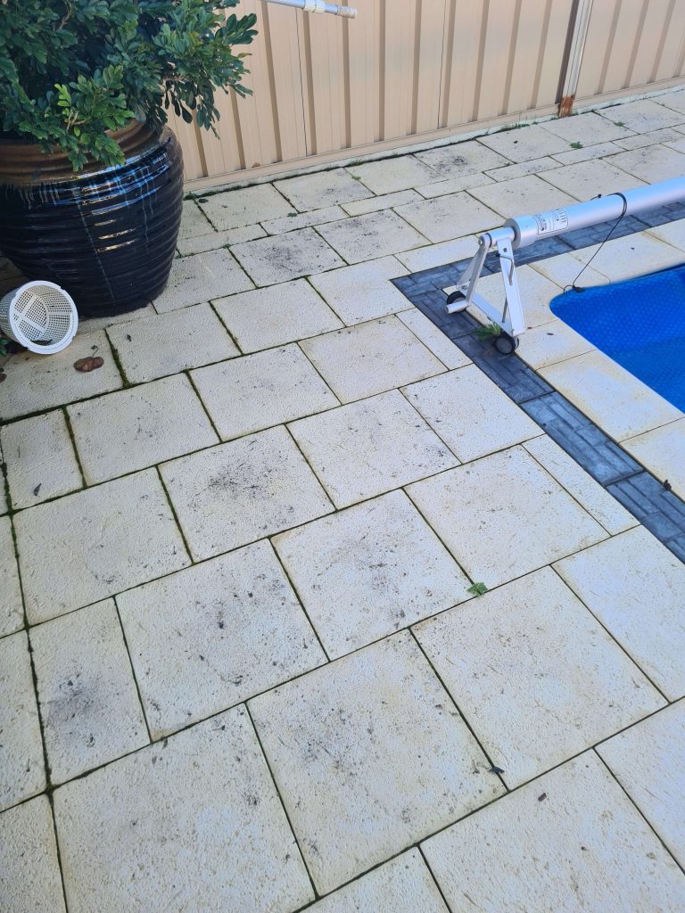 20210805 091351 1 scaled